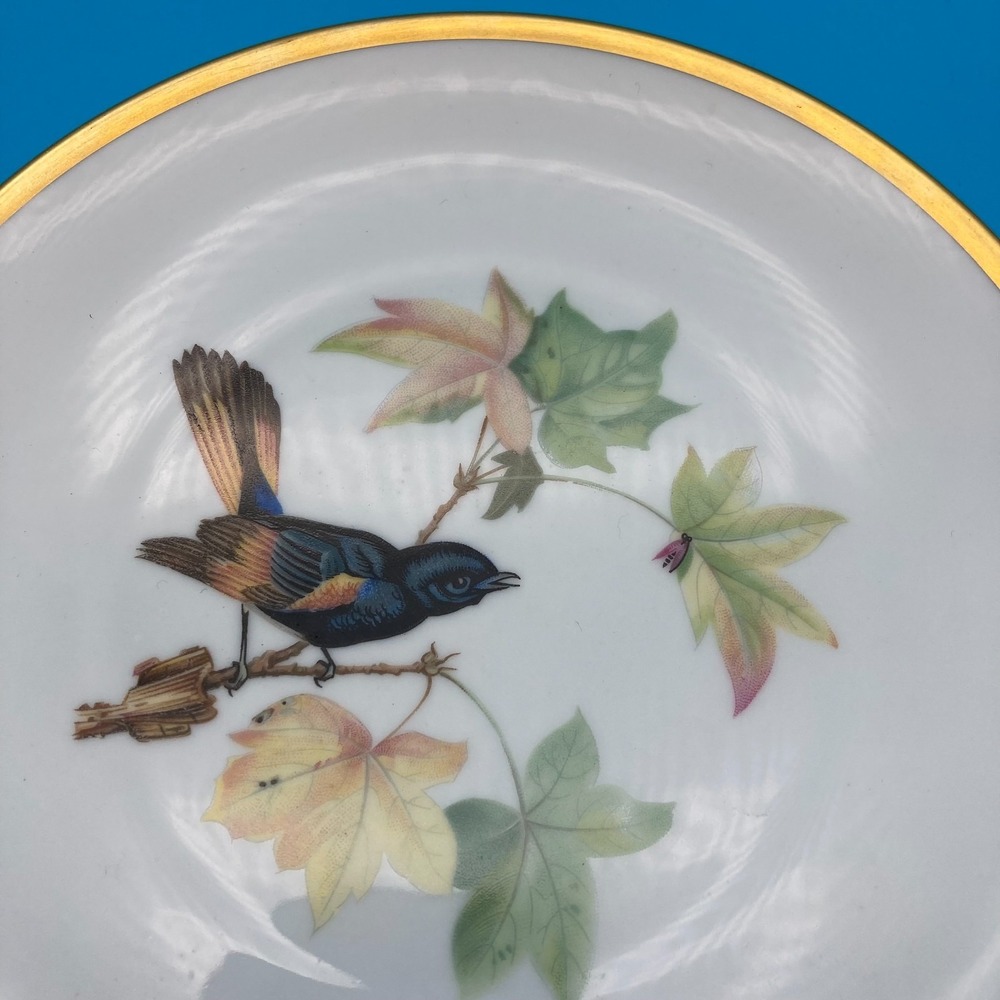 RARE Pre-War Hutschenreuther Selb Audubon Bird Plates - Set of 6 - Circa 1930s - Picture 4 of 9